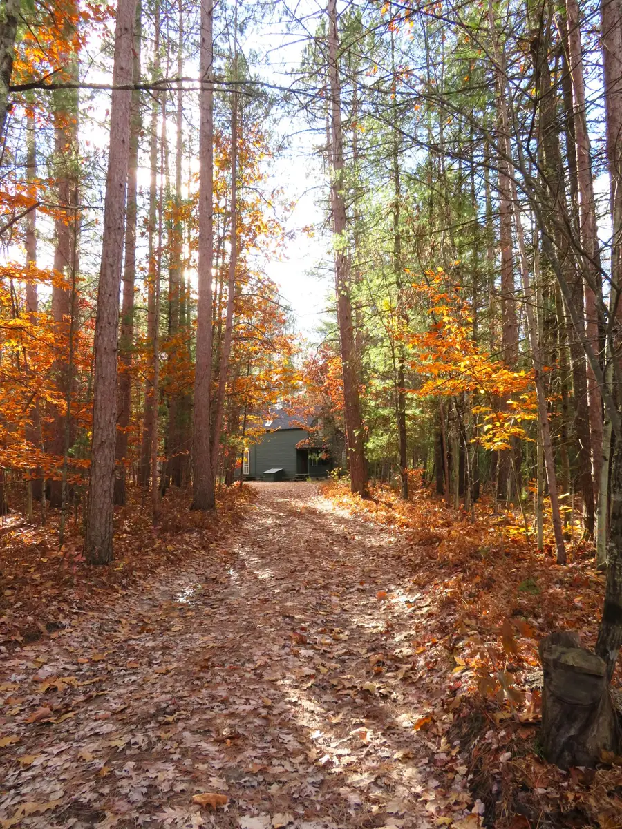 12497 Chicago Avenue, Wellston, MI 49689 - Image #2