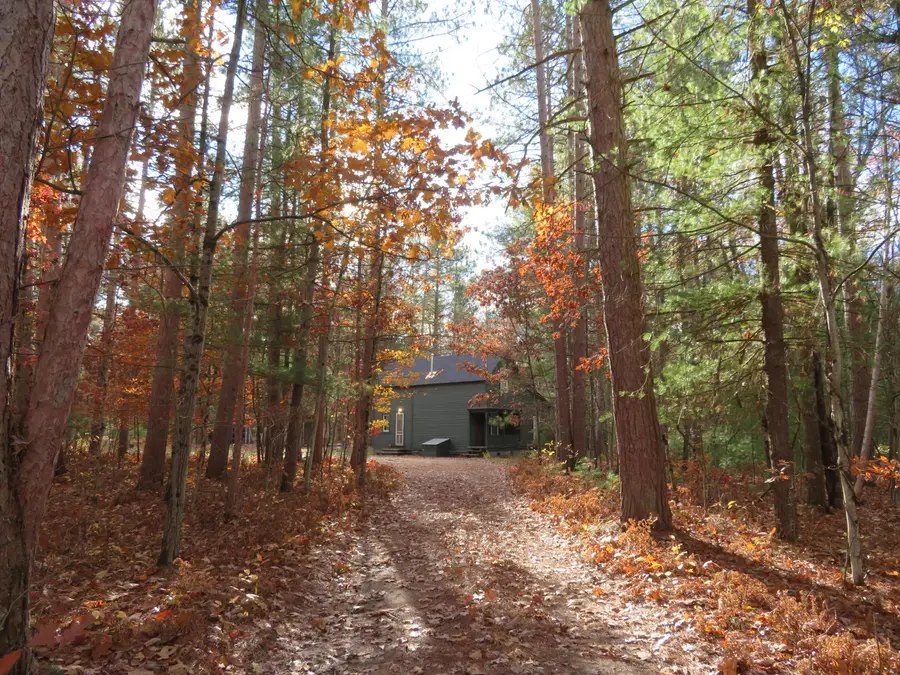 12497 Chicago Avenue, Wellston, MI 49689 - Image #3