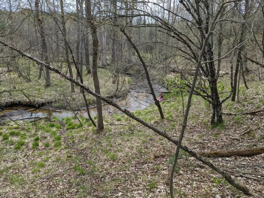 1103 N Frank Smith Road, Luther, MI 49656 - Image #3