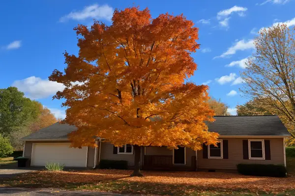 1990 Black Bark Lane, Traverse City, MI 49696