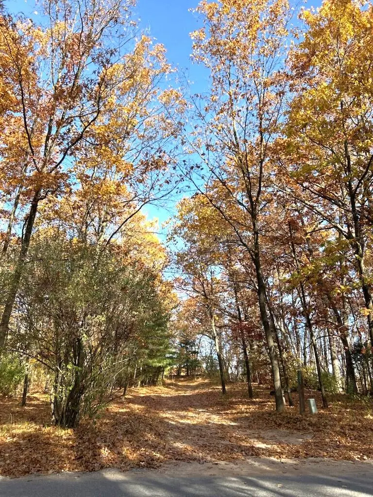 VL Burroughs Street Ne, Lowell, MI 49331 - Image #2