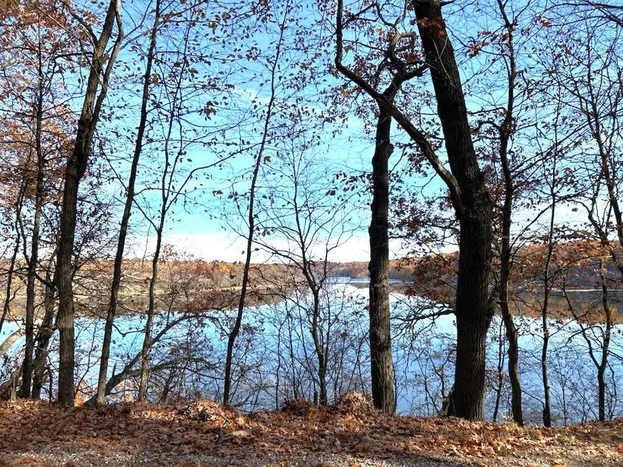 VL Burroughs Street Ne, Lowell, MI 49331 - Image #3