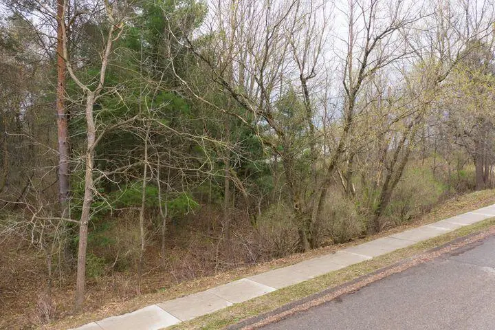 0 Bond Street, Harrison, MI 48625 - #2