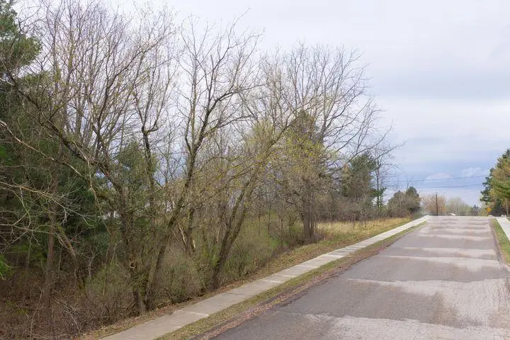 0 Bond Street, Harrison, MI 48625 - #3