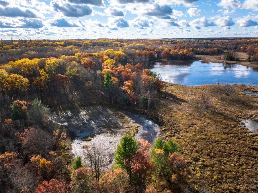 8686 East 3 Mile Road, White Cloud, MI 49349 - Image #2