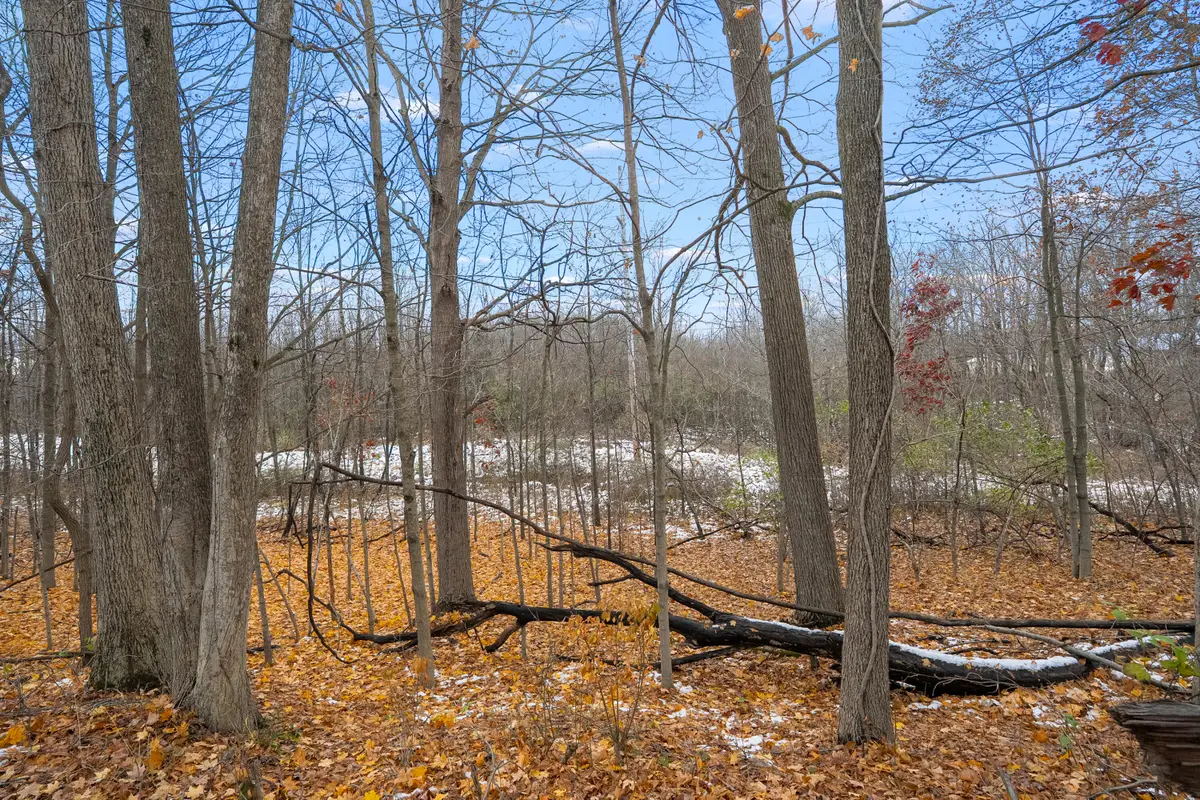 00000 22nd Street, Lawton, MI 49065 - Image #1