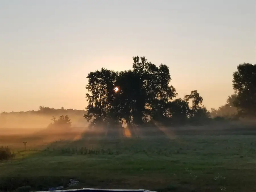 859 Greystone Drive #13, Chelsea, MI 48118 - Image #2