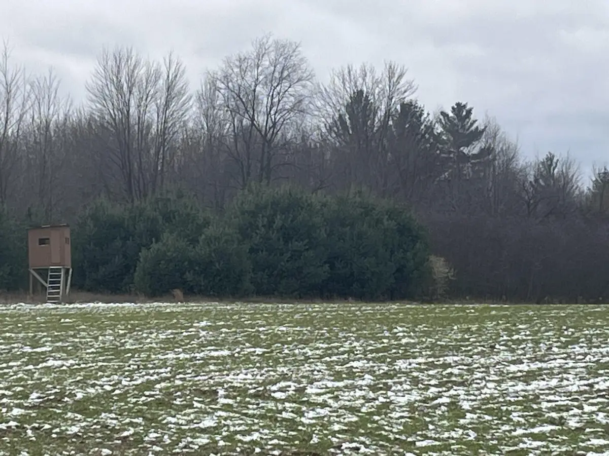 Par A Nimberger Road, Lakeview, MI 48850 - Image #1