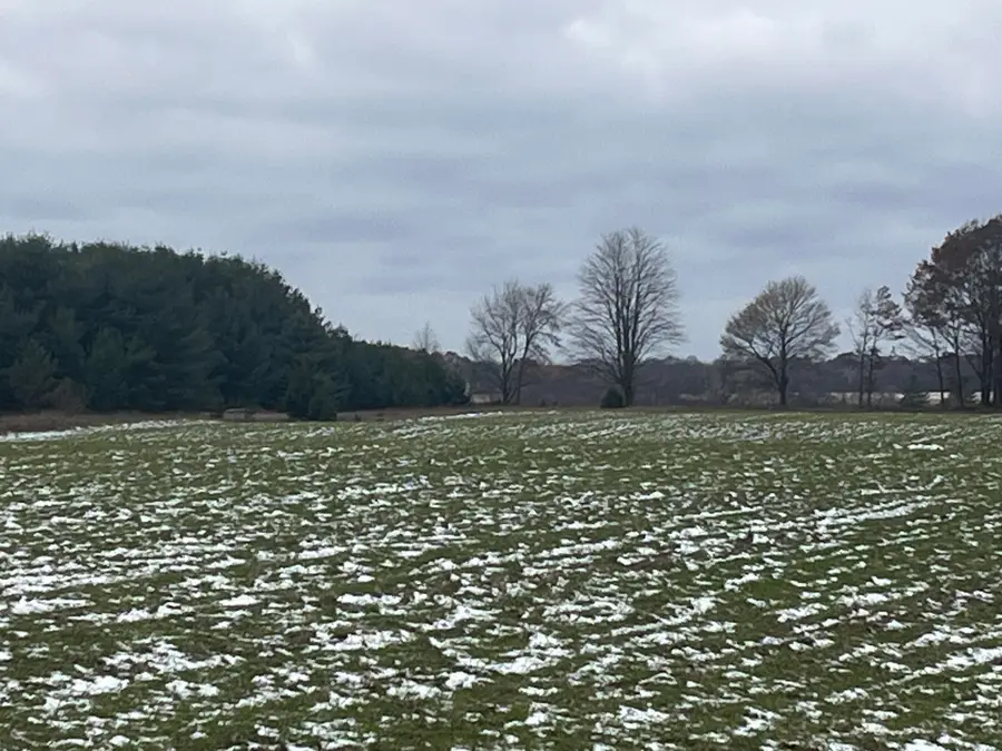 Par A Nimberger Road, Lakeview, MI 48850 - Image #3