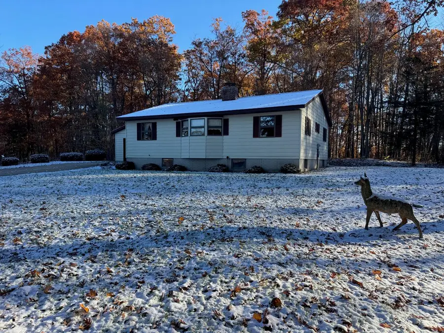 2512 S Sportsman Drive, White Cloud, MI 49349 - Image #3