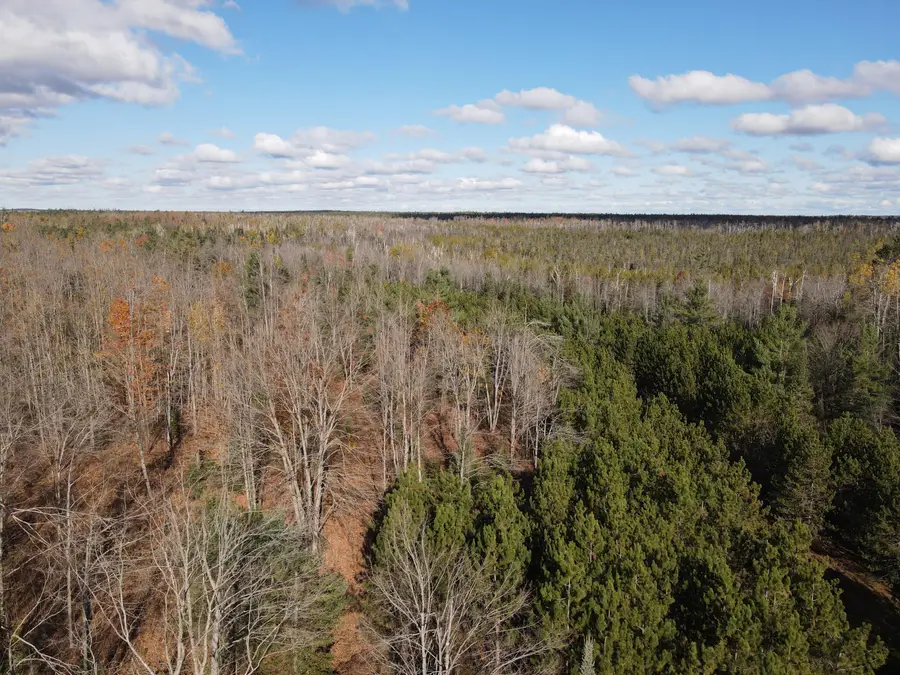 0VL Bowden Trail, Hillman, MI 49746 - Image #3