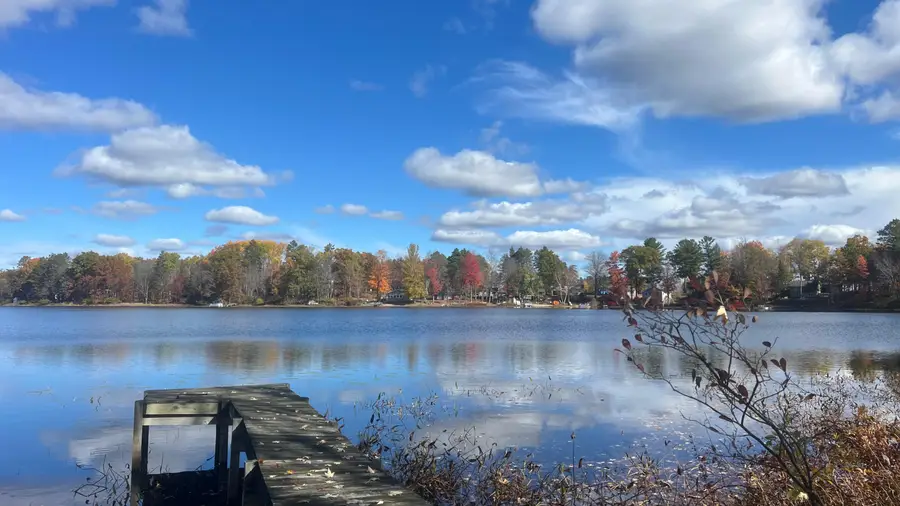 14306 Wildwood Road, Evart, MI 49631 - Image #3