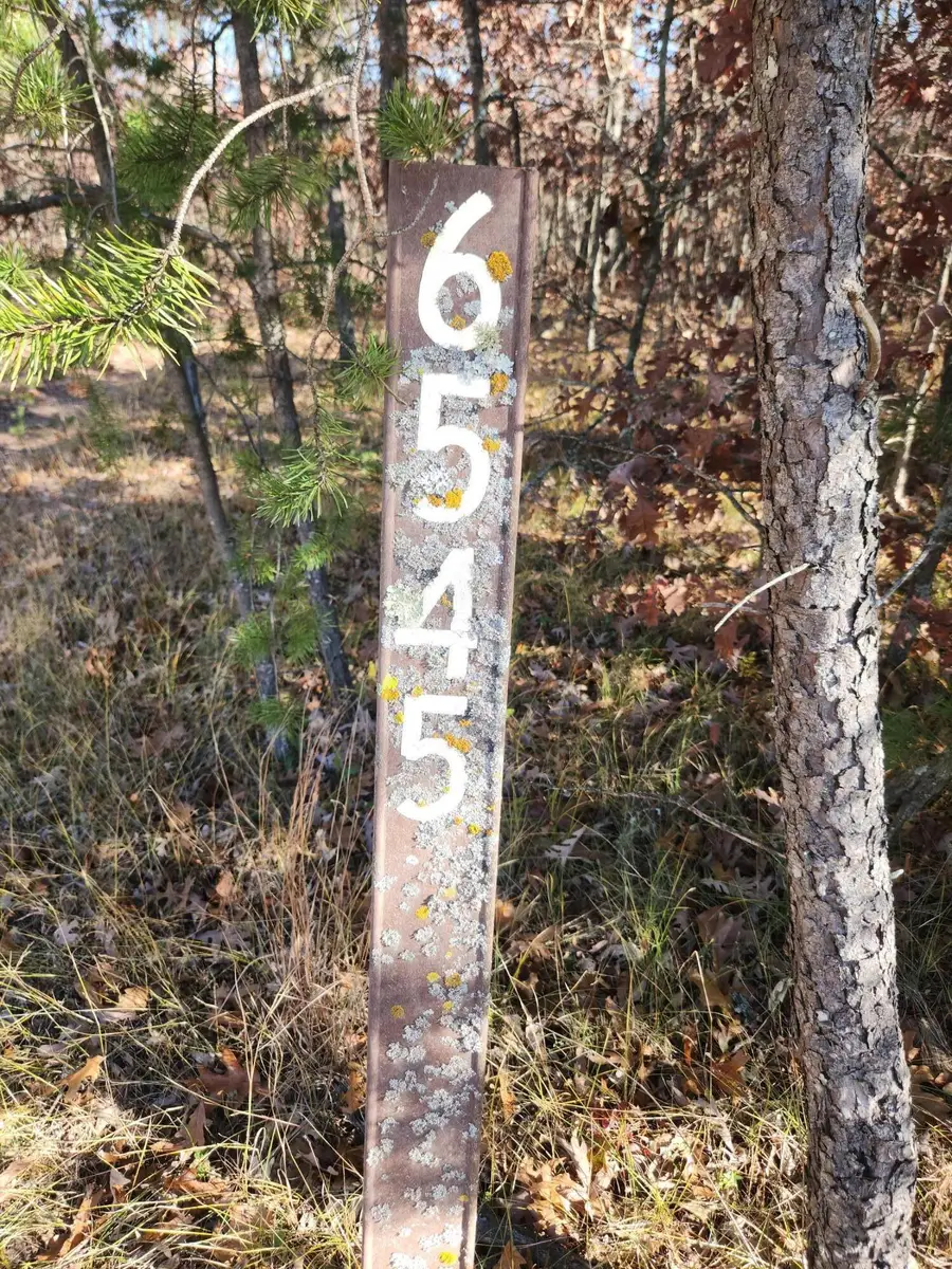 VL W Trail 6545 (hb Road), Baldwin, MI 49304 - Image #2