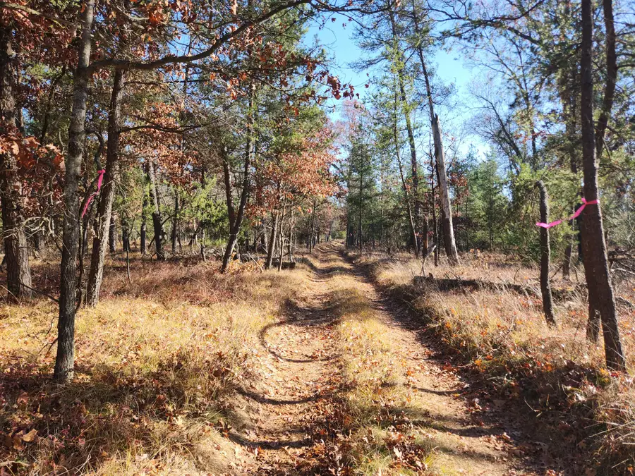 VL W Trail 6545 (hb Road), Baldwin, MI 49304 - Image #3