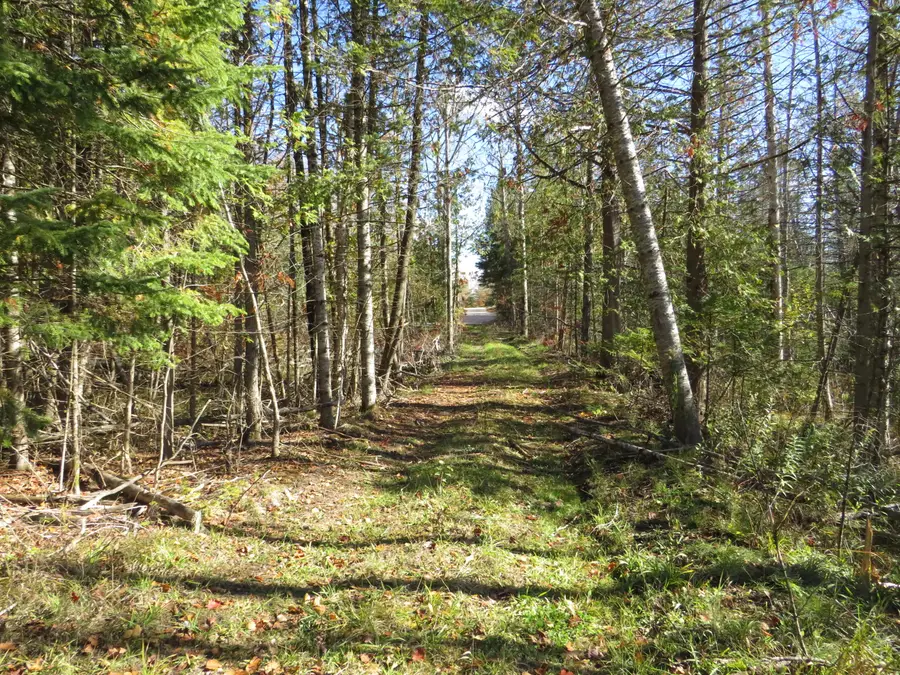 Vl Mcclouth Road, Levering, MI 49755 - Image #2