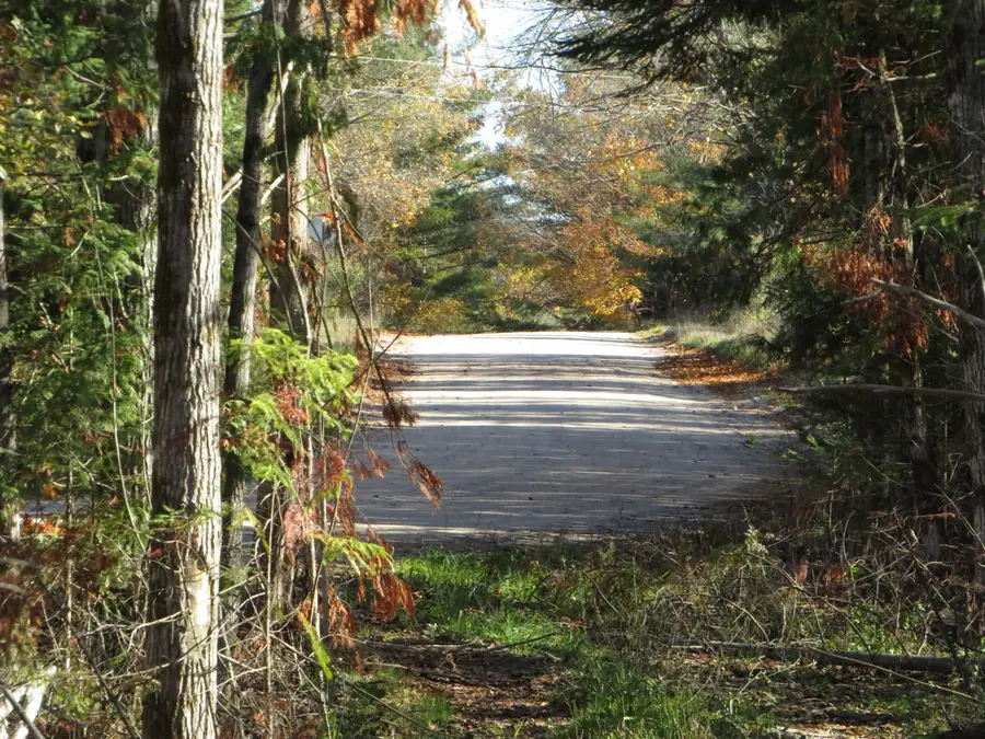 Vl Mcclouth Road, Levering, MI 49755 - Image #3