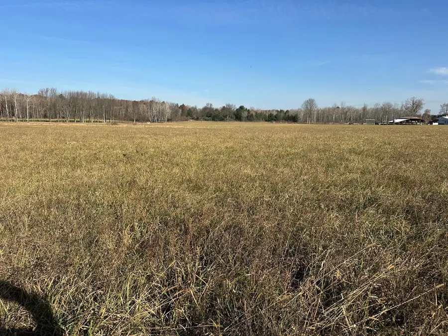 10916 W Howard City-edmore, Lakeview, MI 48850 - Image #2