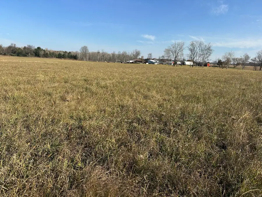 10916 W Howard City-edmore, Lakeview, MI 48850 - Image #3