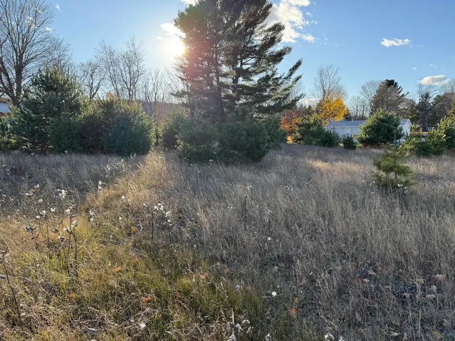 001 Ninth Street, Bear Lake, MI 49614 - Image #2