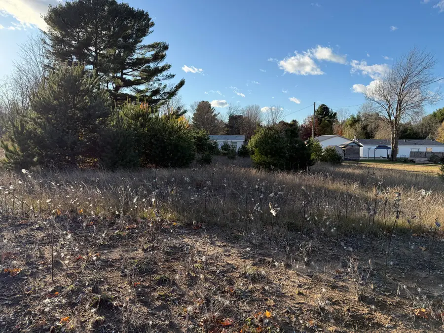 001 Ninth Street, Bear Lake, MI 49614 - Image #3