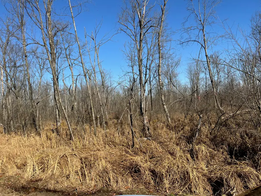 52921 Chamberlain Road, Marcellus, MI 49067 - Image #3