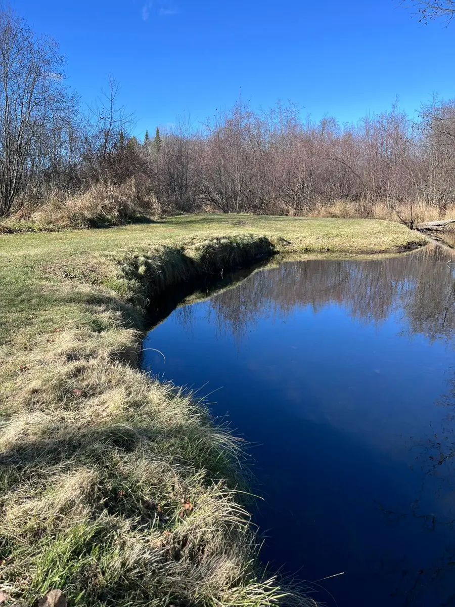 S 9 Mile Road, Falmouth, MI 49632 - Image #3