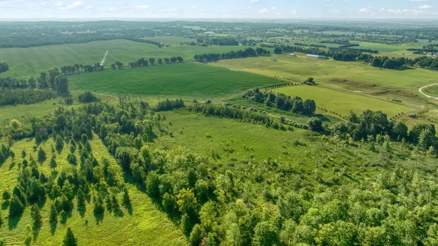 20 Washburn Road, Grass Lake, MI 49240 - Image #3