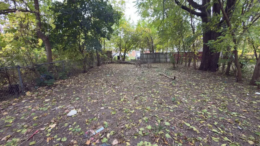 15887 Lauder Street, Detroit, MI 48227 - Image #3