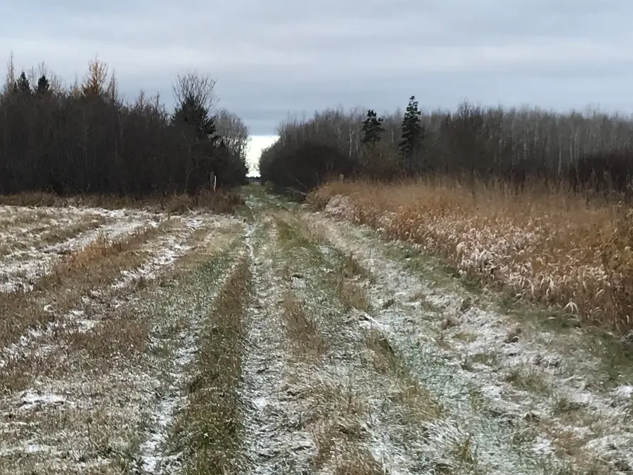 0000 M-48, Rudyard, MI 49780 - Image #2