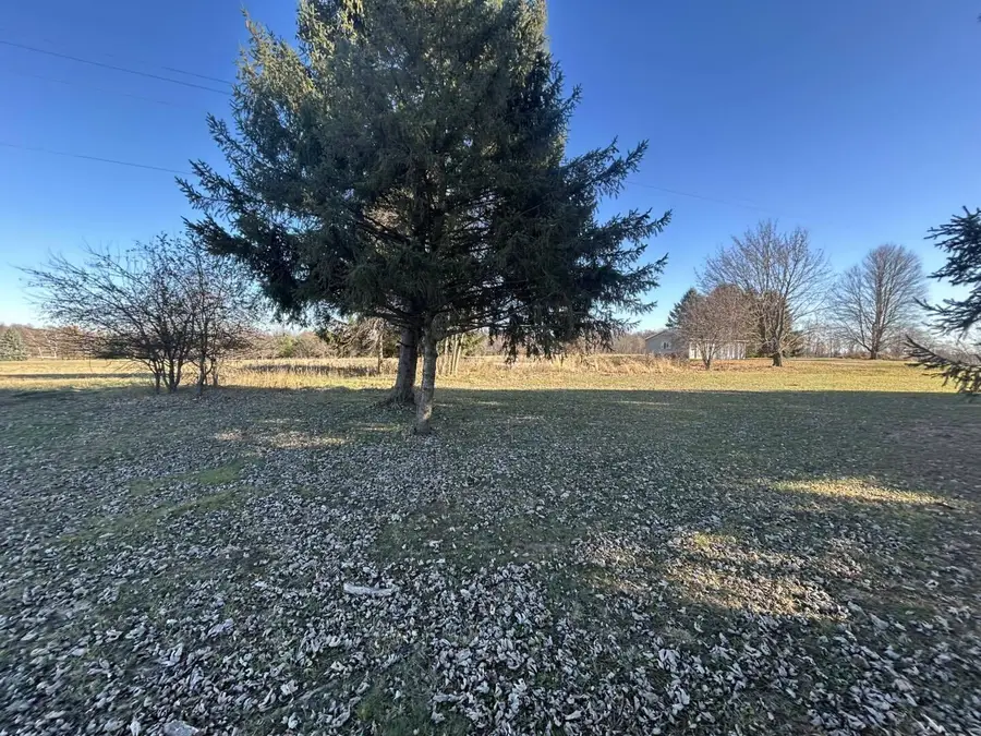 4421 Carpenter Road, Reading, MI 49274 - Image #2