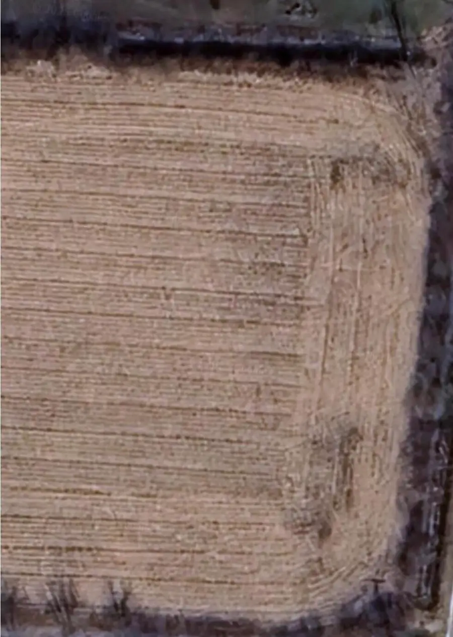 9250 Macey Road, Willis, MI 48191 - Image #3