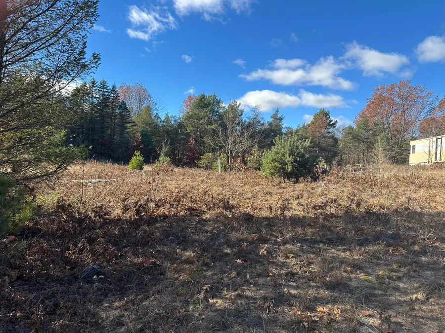 8159 N Sweet Chevy Lane, Bitely, MI 49309 - Image #2