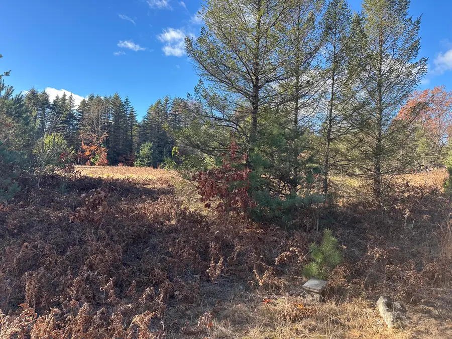 8159 N Sweet Chevy Lane, Bitely, MI 49309 - Image #3