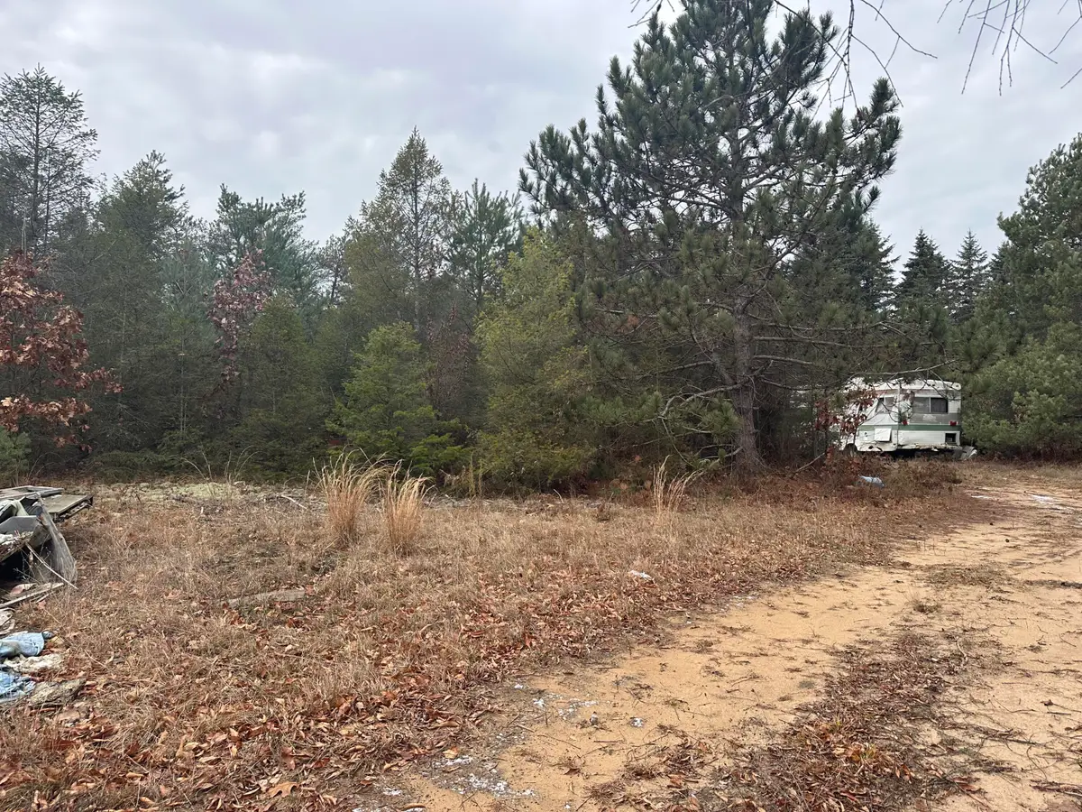 8119 N Sweet Chevy Lane, Bitely, MI 49309 - Image #1