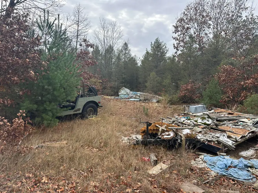 8119 N Sweet Chevy Lane, Bitely, MI 49309 - Image #2