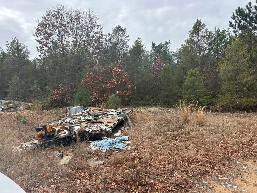 8119 N Sweet Chevy Lane, Bitely, MI 49309 - Image #3