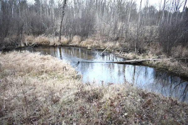 646 W 3 Mile Road, Luther, MI 49656