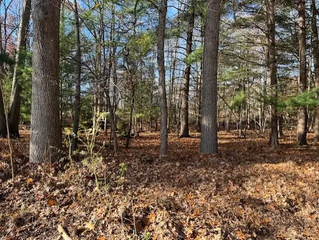 V/L Bedeau Street, Montague, MI 49437 - Image #2