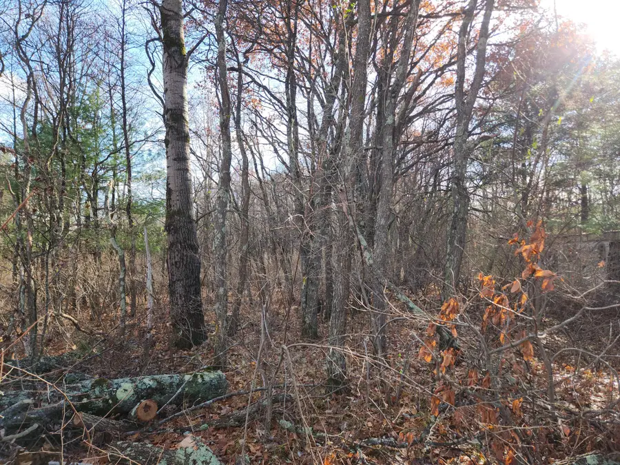 VL Us-10 Nw, Baldwin, MI 49304 - Image #2