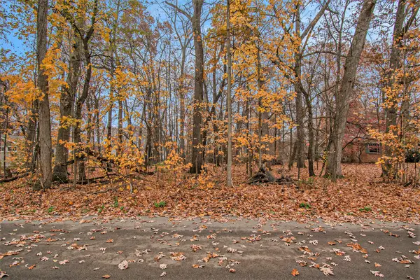 0 6th Street, Edwardsburg, MI 49112