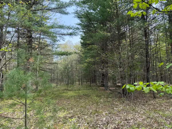 Critter Trail #Parcel C, Manistee, MI 49660