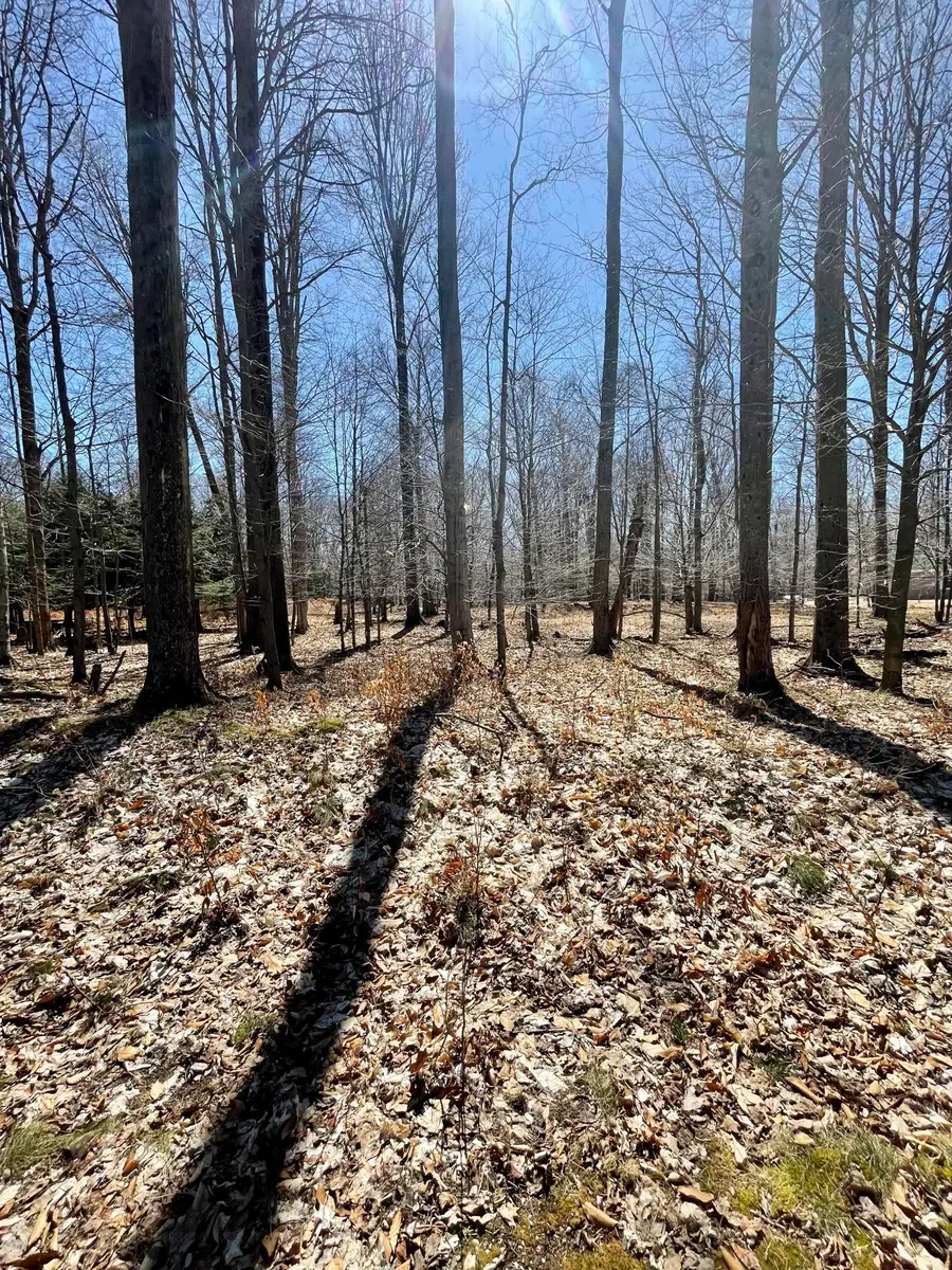 W Nanninga Dr. #19, Ludington, MI 49431 - Image #3