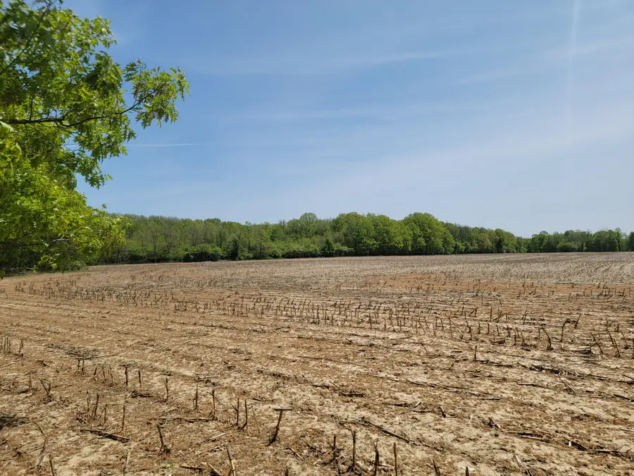 0 Leonard Road, Nunica, MI 49448 - Image #2