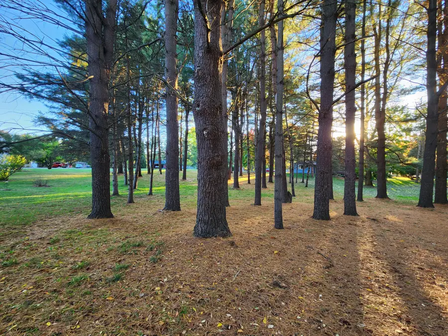 1523 Garfield Street, Marne, MI 49435 - Image #2