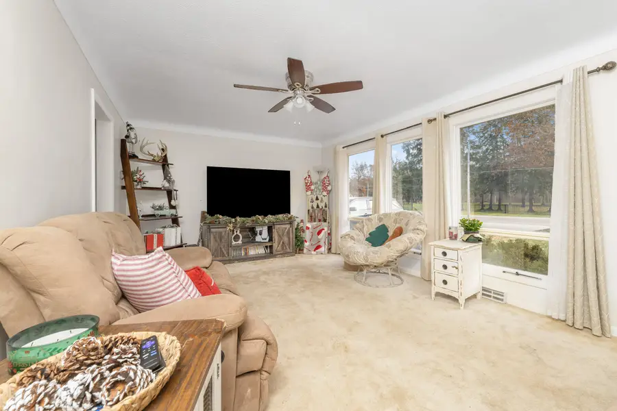 733 Hazen Street, Paw Paw, MI 49079 - Image #3