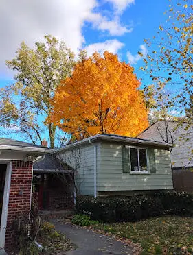 2388 Nixon Road, Ann Arbor, MI 48105 - Image #2