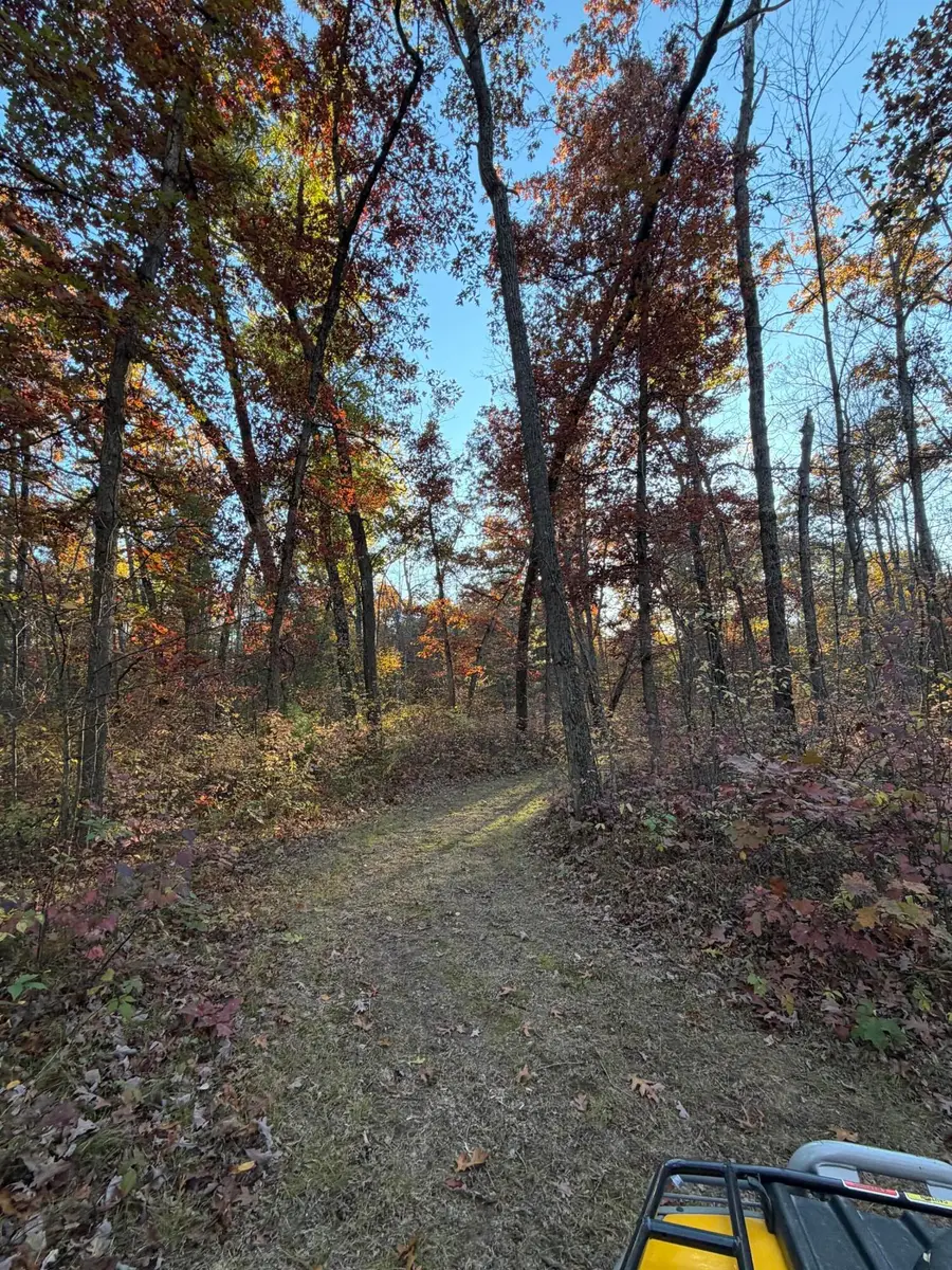 V/L Maple Hill Road #Parcel D, Howard City, MI 49329 - Image #3