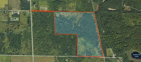 V/L 118A Townline Road, Free Soil, MI 49411