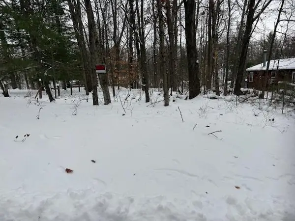 9861 E School Section Lake Drive, Mecosta, MI 49332