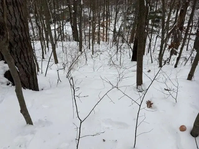 9861 E School Section Lake Drive, Mecosta, MI 49332 - Image #2